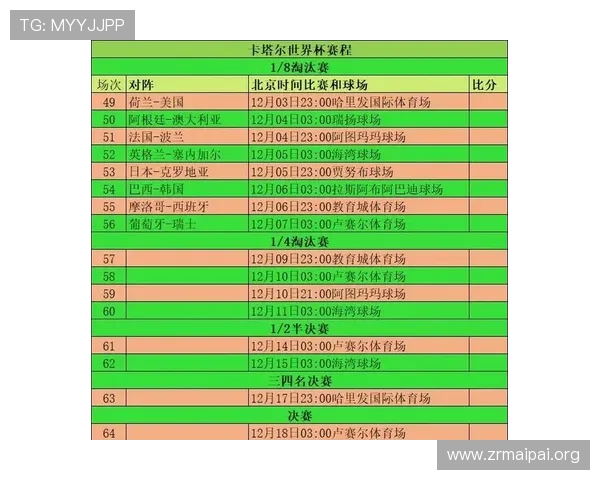 世界杯波黑对阵卡塔尔比赛结果及赛后数据统计全面总结分析